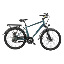 No MOQ Cheap Electric Bicycle 250W Electric Road Bike